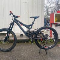 Bici mtb dh