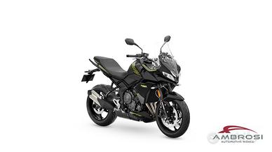 Triumph Tiger Spot 800