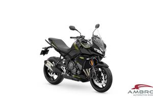 Triumph Tiger Spot 800