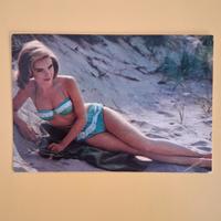 Cartolina pin up vintage 