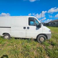 peugeot boxer tipo ducato 