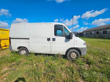 peugeot boxer tipo ducato 
