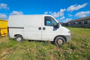peugeot boxer tipo ducato 