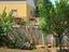 Immagine 6