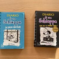 2 libri “Diario di una schiappa”