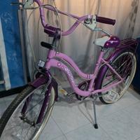Bicicletta Viola 