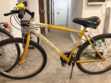 Bicicletta