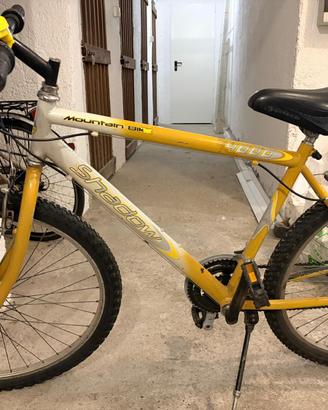 Bicicletta