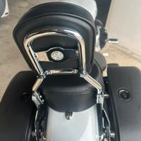 Sissy bar Harley Sportster