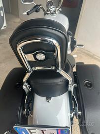 Sissy bar Harley Sportster