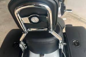 Sissy bar Harley Sportster