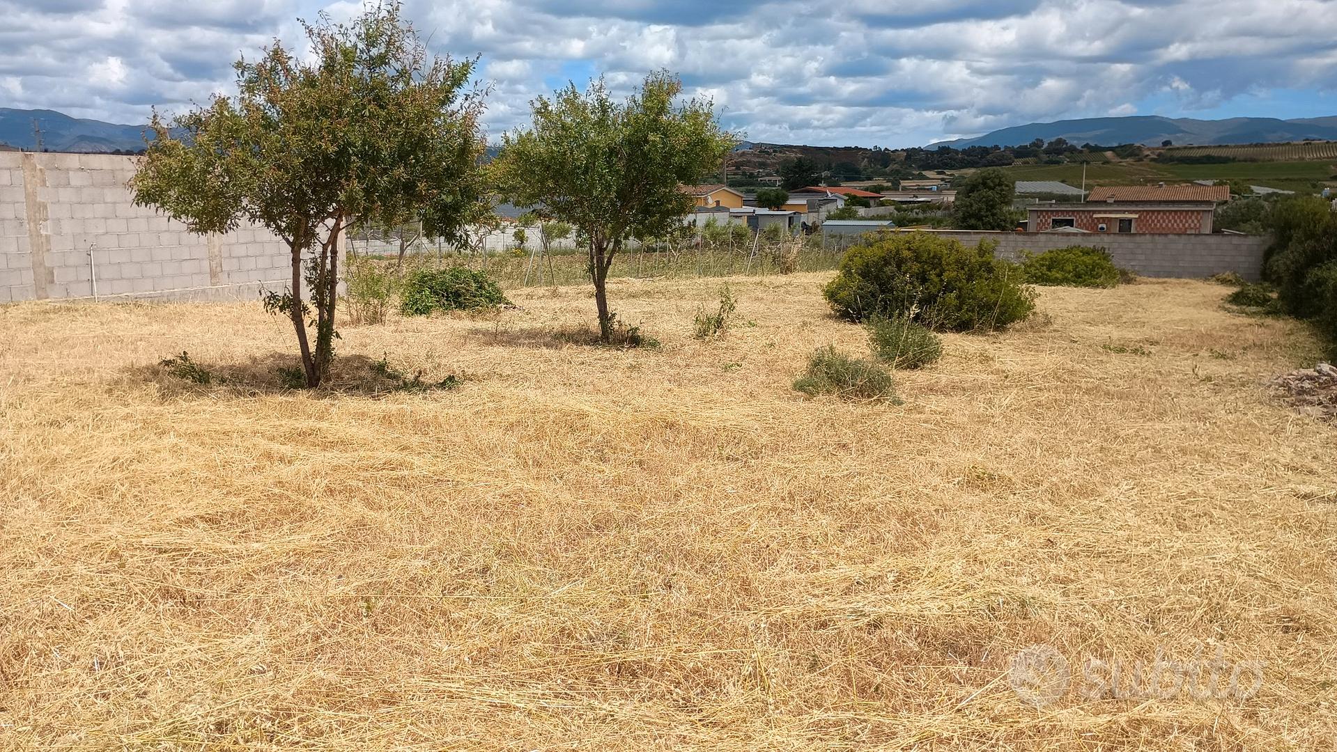 terreno agricolo - Vista 4