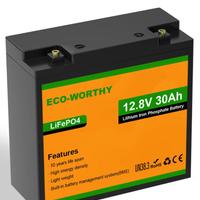 Batterie litio LIFEPO4 come nuove
