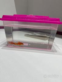 Boccetta rettangolare per pesci