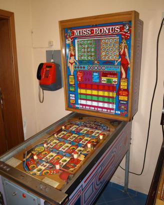 FLIPPER AMERICANI BINGO