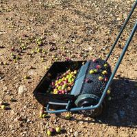 Raccoglitore di Olive a Rotolo - Efficienza e Faci