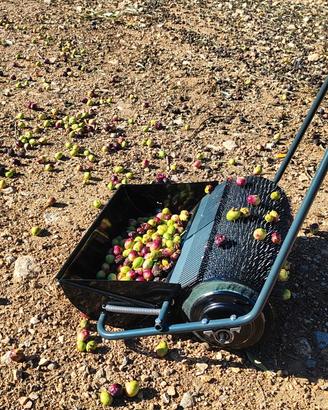 Raccoglitore di Olive a Rotolo - Efficienza e Faci