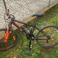 Bicicletta