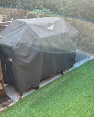 Weber genesis