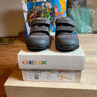 Scarpa geox
