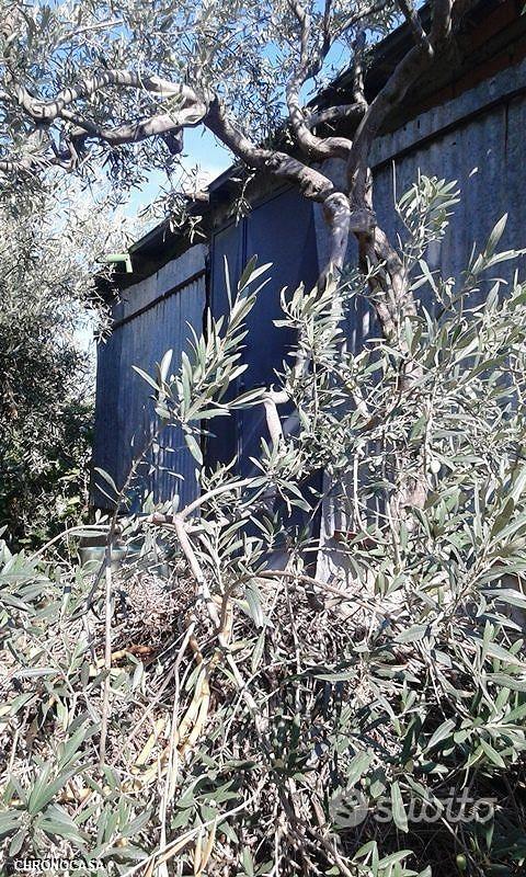 Scaletta superiore ampio terreno con fabbricato - Altro