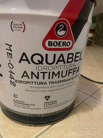 Pittura per interni traspirante antimuffa