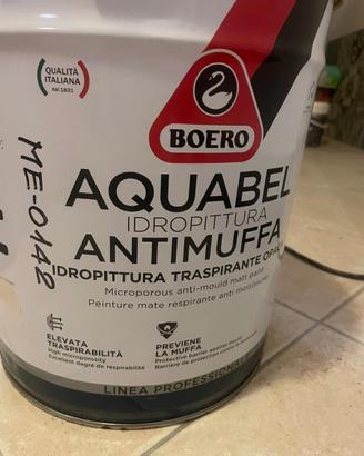Pittura per interni traspirante antimuffa