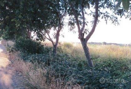Immobile in asta di 5760 m² a Piacenza - Vista 3