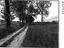 Immagine 10
