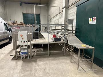 Vasche lavorazione ortaggi