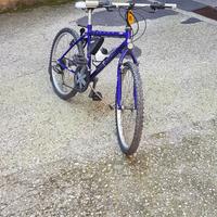 bicicletta 24 da bambino