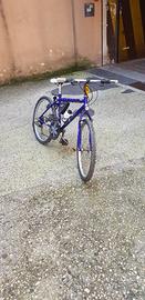 bicicletta 24 da bambino