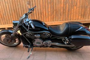 Harley Davidson  Vrod  1250