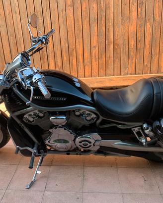 Harley Davidson  Vrod  1250