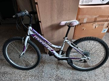 Bicicletta Montana