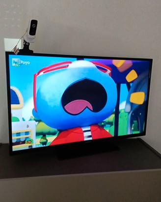 Televisione 49 P