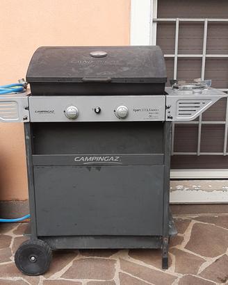 barbecue 