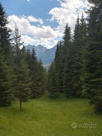 Vacanze d'estate a Sappada Dolomiti