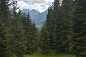 Vacanze d'estate a Sappada Dolomiti
