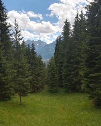 Vacanze d'estate a Sappada Dolomiti