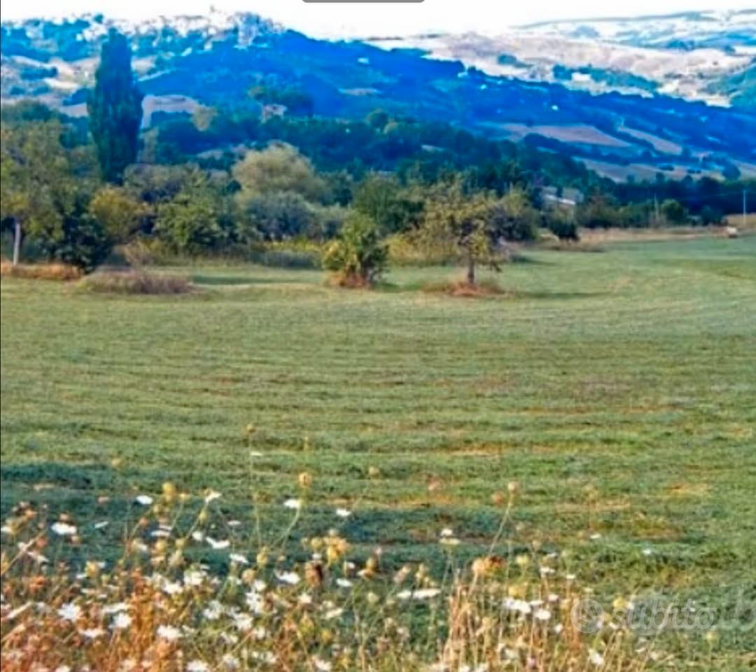 Terreno edificabile mq 6.380 a Campodipietra (CB) - Vista 3