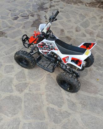 MiniQuad