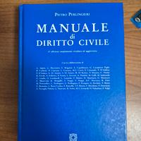Manuale di diritto privato Perlingieri