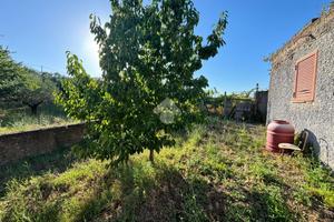 TER. AGRICOLO A MONTE COMPATRI