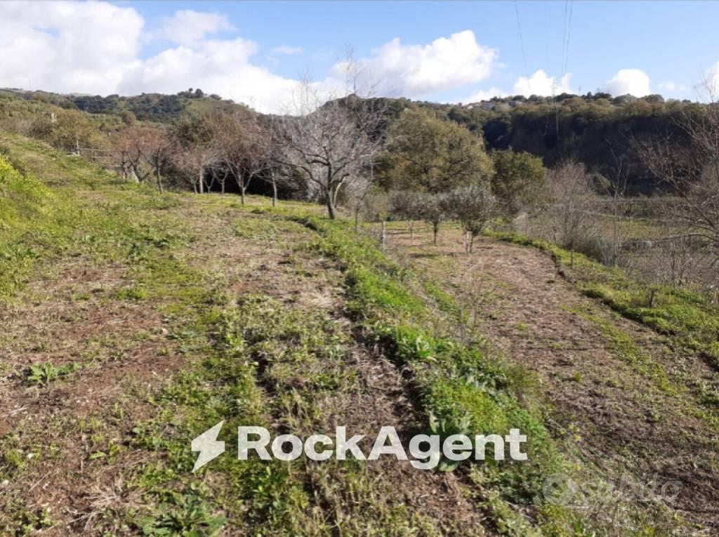 Terreno di 23500 m² a Marcellinara - Vista 5
