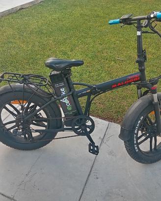Bici elettrica 