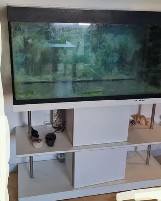 Acquario con mobile