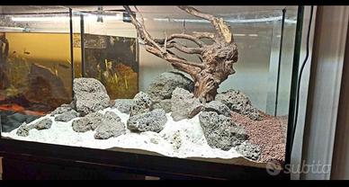  acquario comprensivo di tutto (mobile + pesci) 