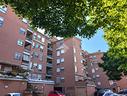 3-locali-a-albano-laziale