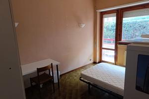 Camera Viterbo disponibile da subito